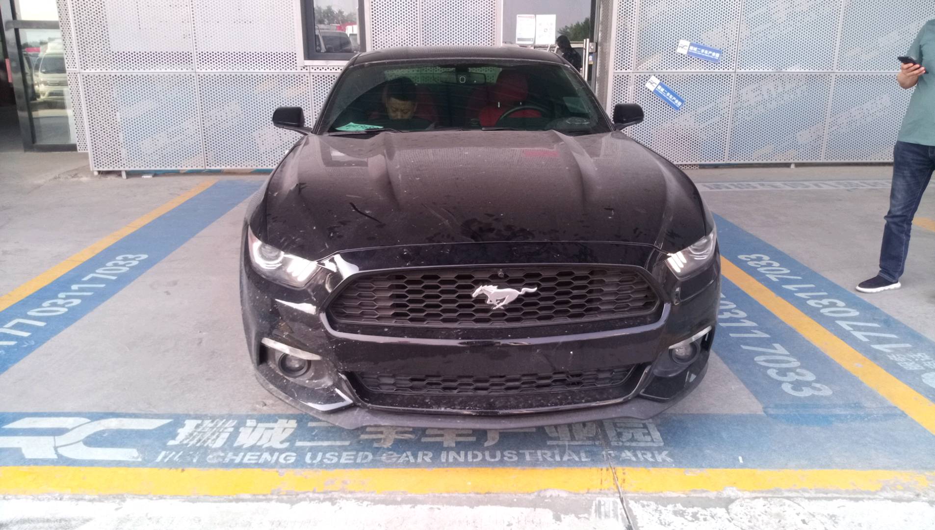 福特 Mustang 2016款 5.0L GT 性能版 二手车市场选瑞诚